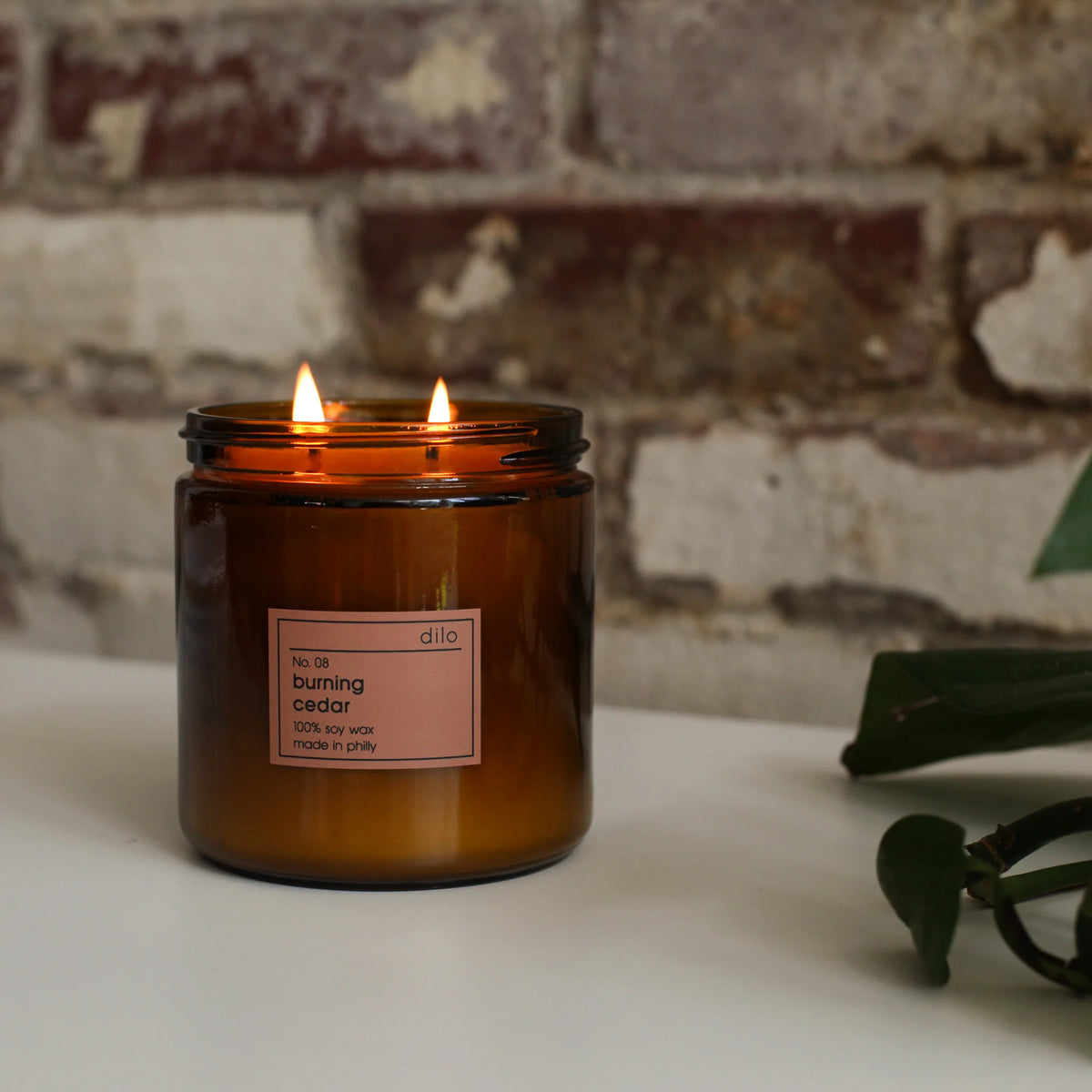 Dilo Burning Cedar Candle