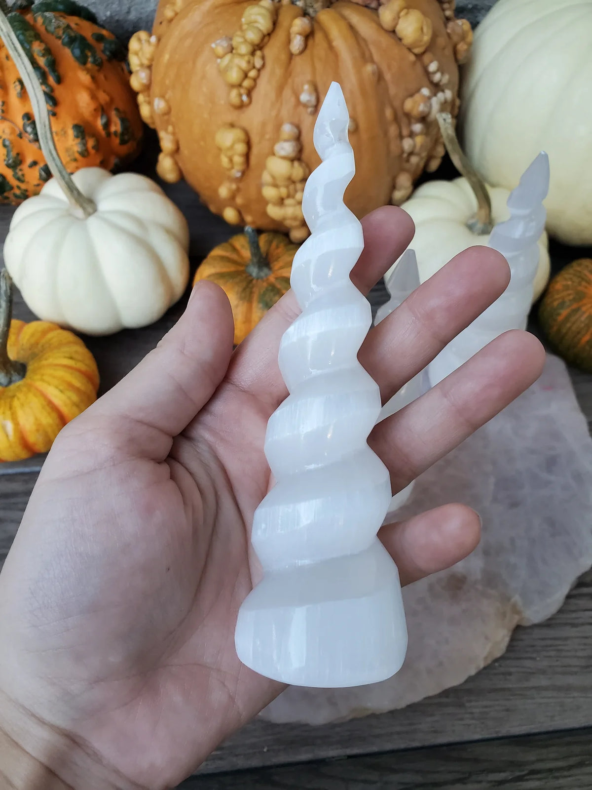 Witch's Way Selenite Spiral Horn