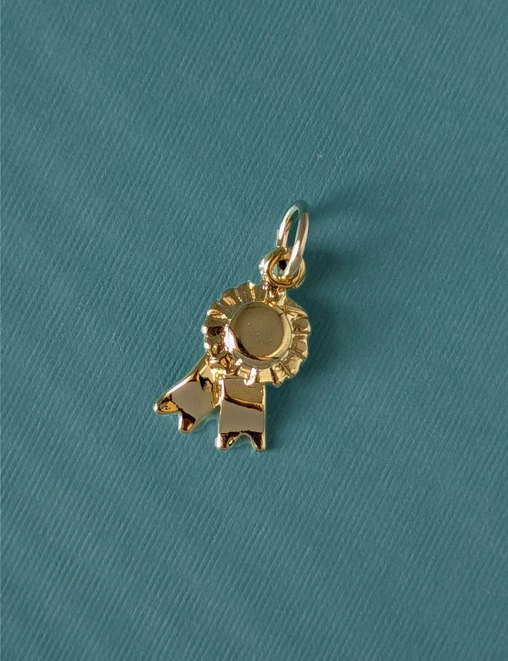 Nuance Ribbon Charm