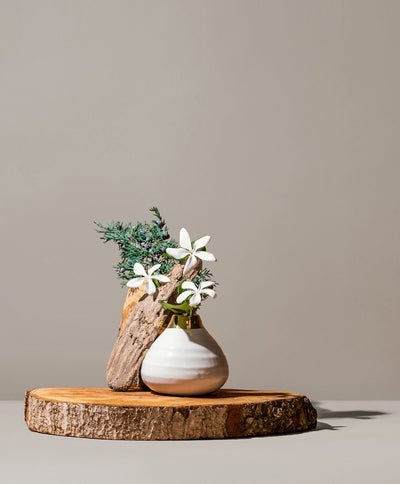 Aquila Grayscale Room & Linen Spray | Choose your Scent!