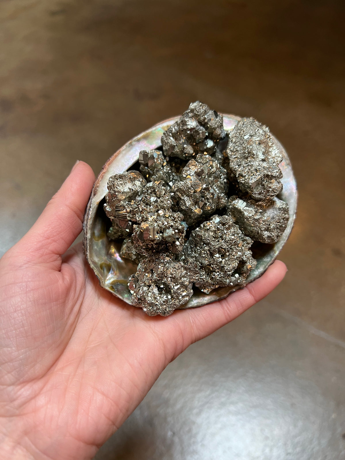 Abalone Shells