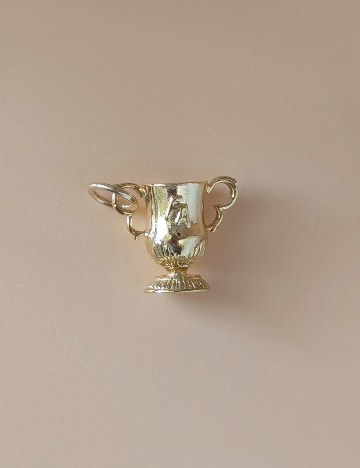 Nuance FA Cup Charm