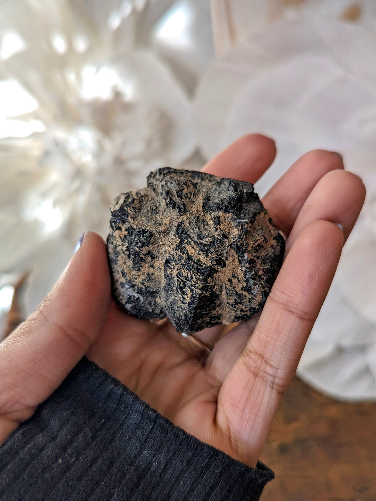 Witch's Way Raw Black Tourmaline | Multiple Sizes