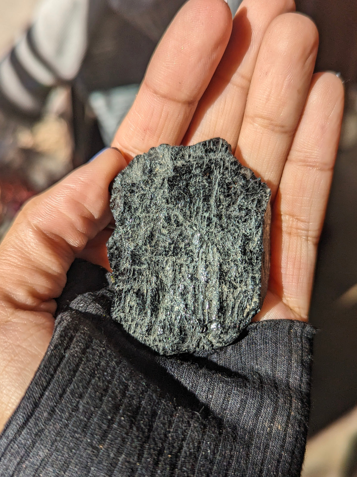 Witch's Way Raw Black Tourmaline | Multiple Sizes