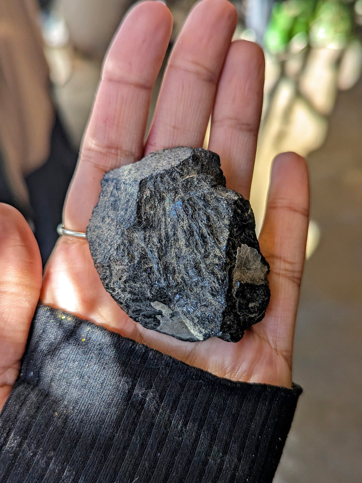 Witch's Way Raw Black Tourmaline | Multiple Sizes
