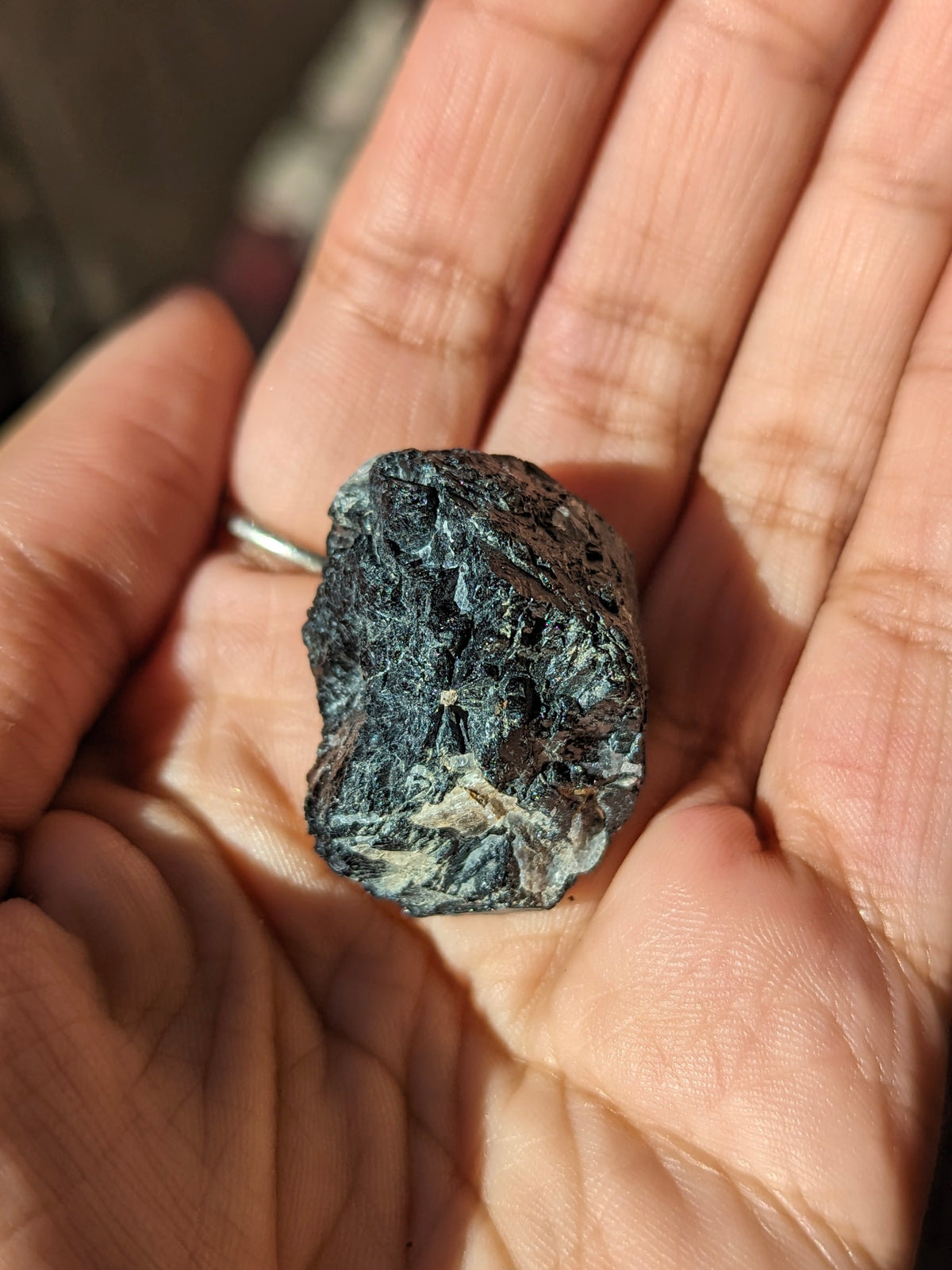 Witch's Way Raw Black Tourmaline | Multiple Sizes