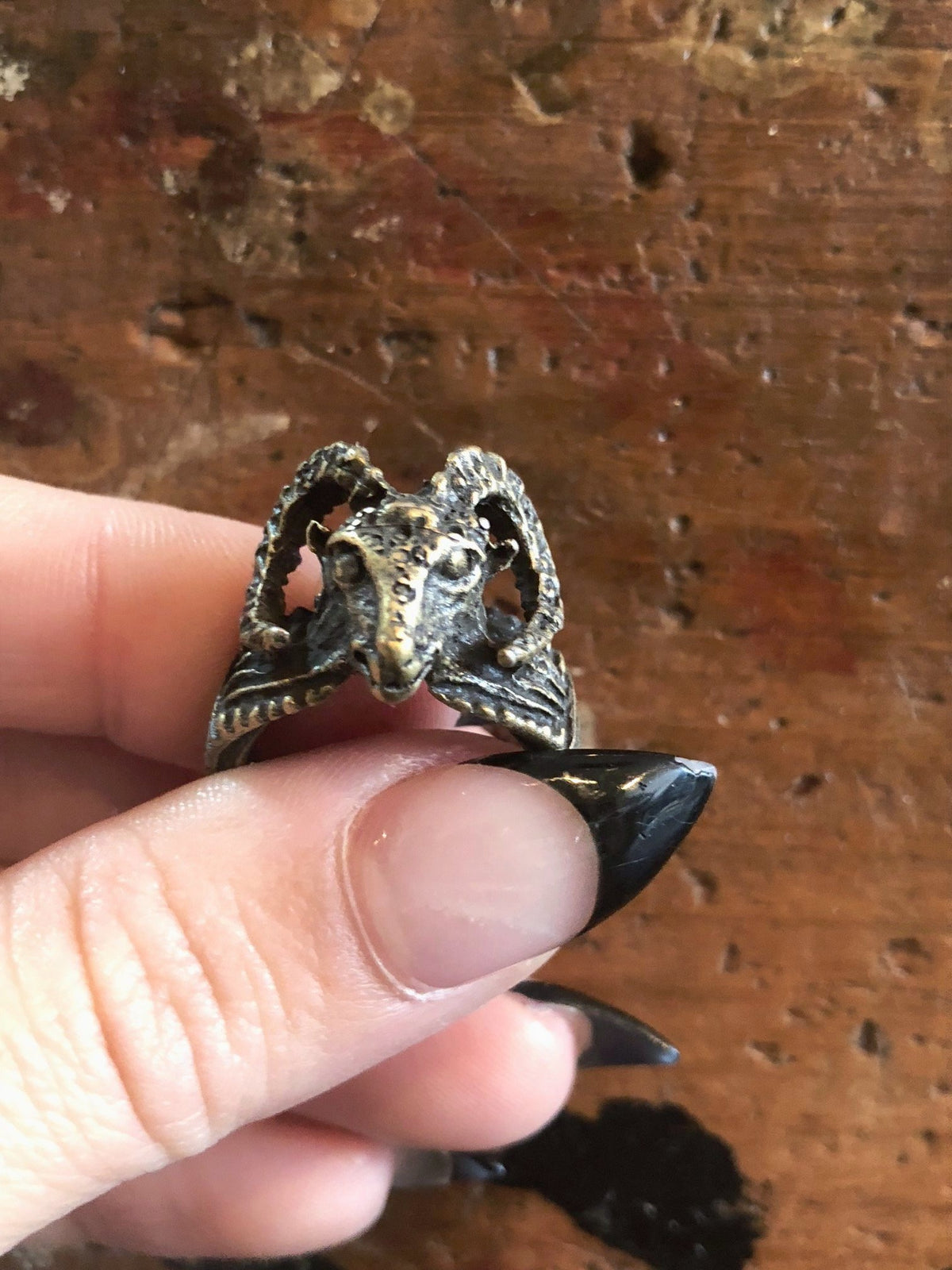 Nuance Horned Ram Ring | Bronze