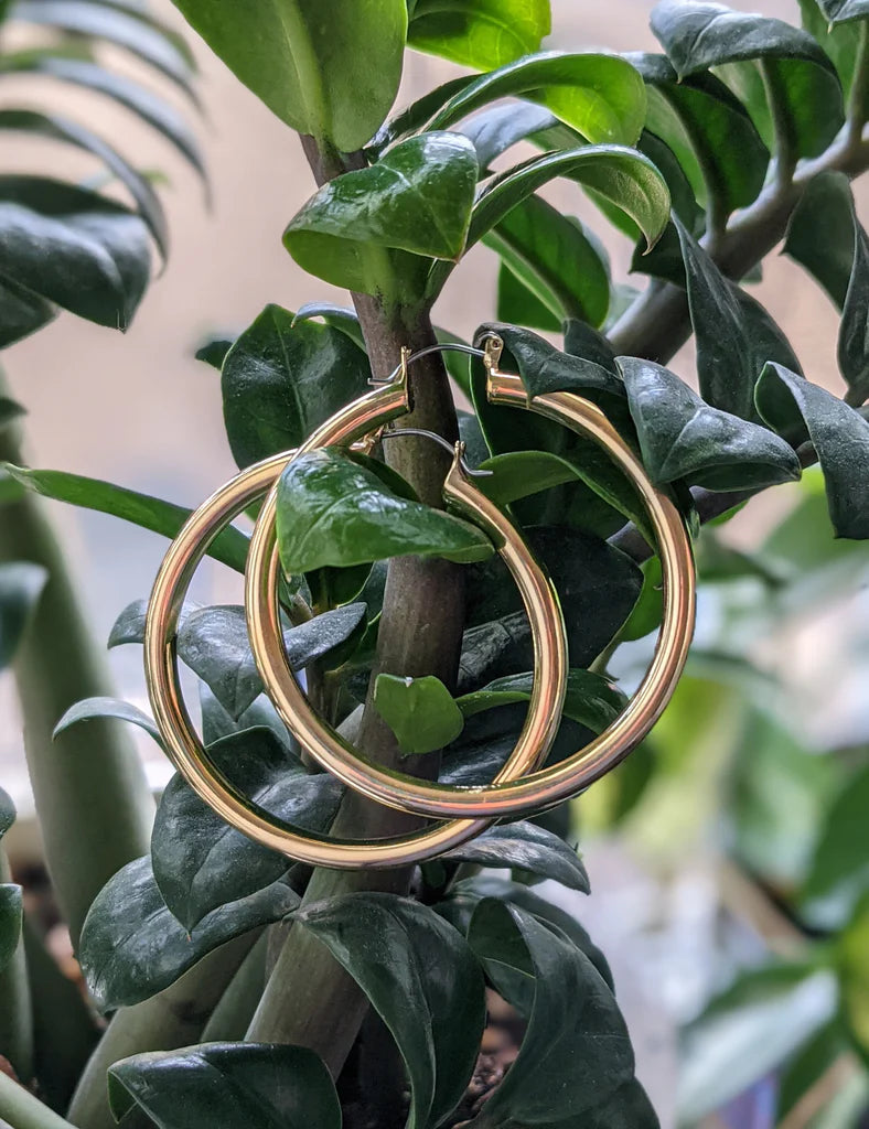 Nuance Tube Hoops Gold