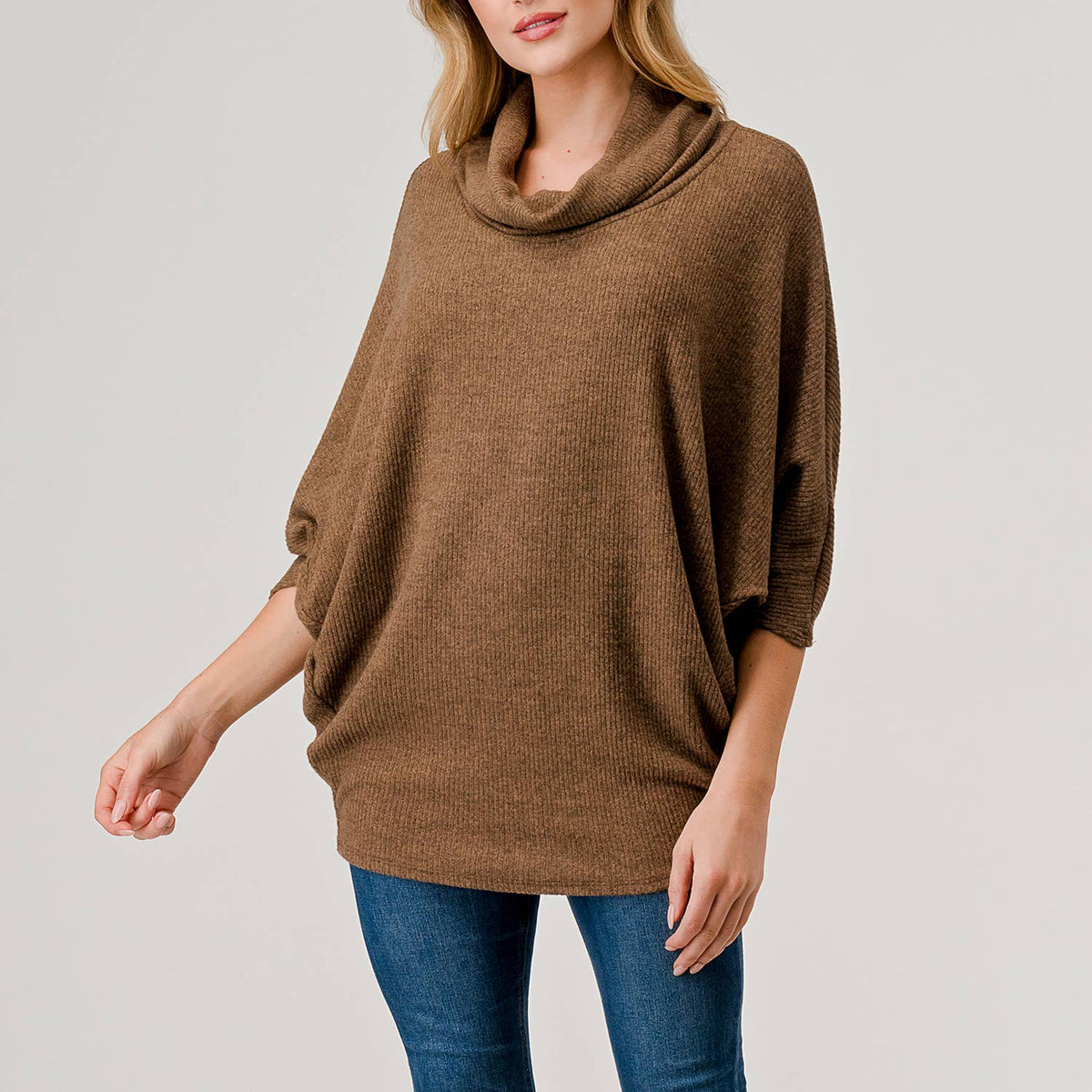 Heimious Turtle Cowl Neck Knit Top