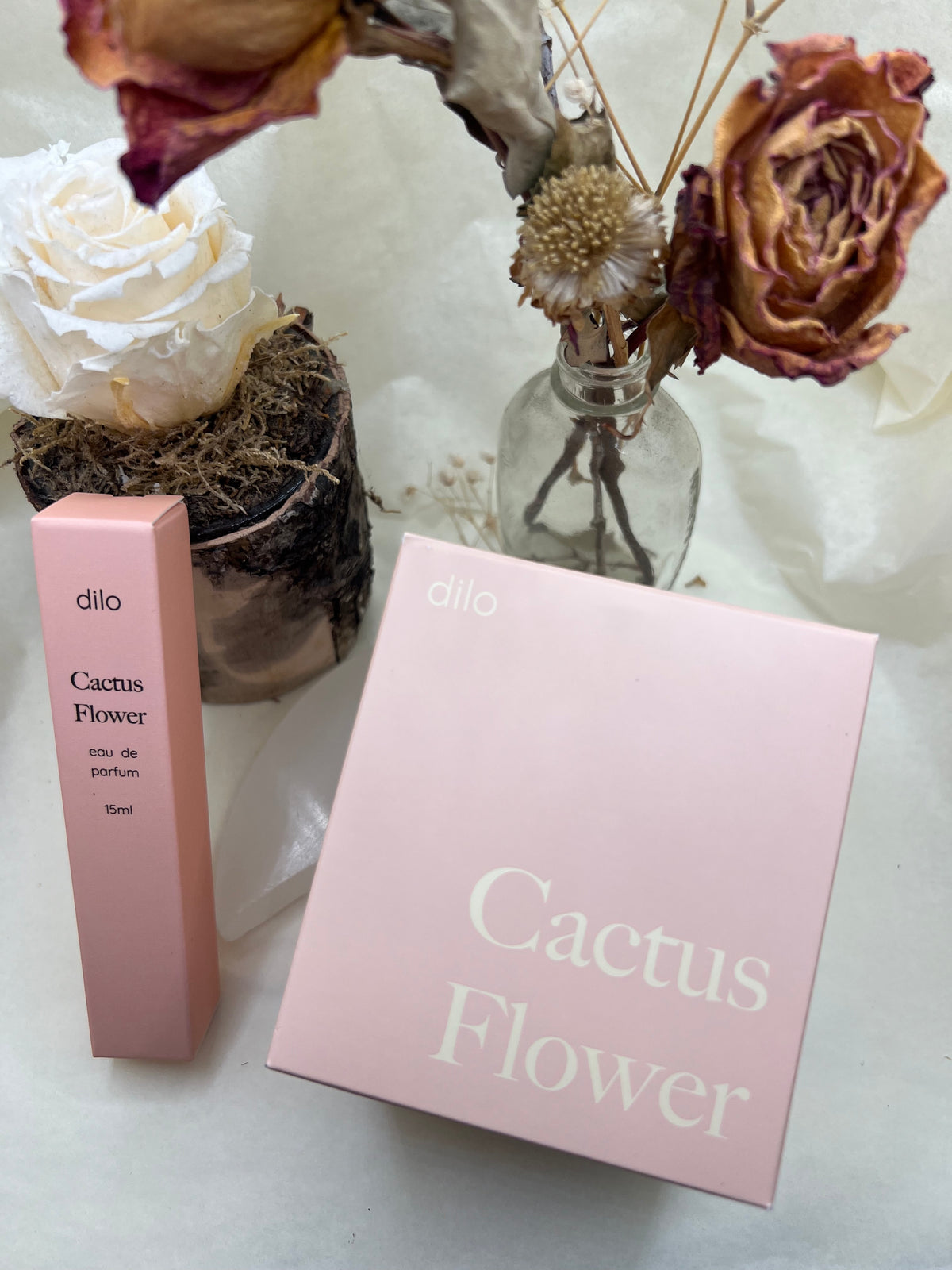 Dilo Elsewhere Gift Set