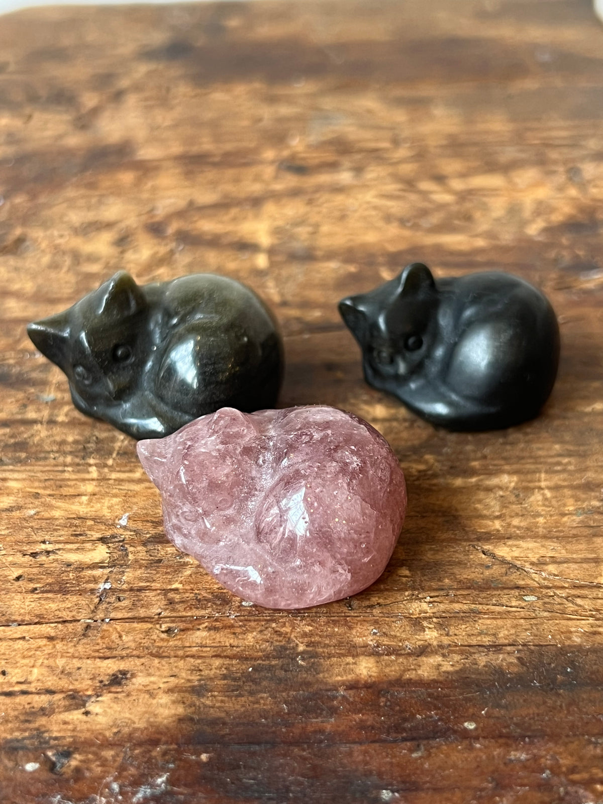 Witch's Way Craft Sleeping Cats