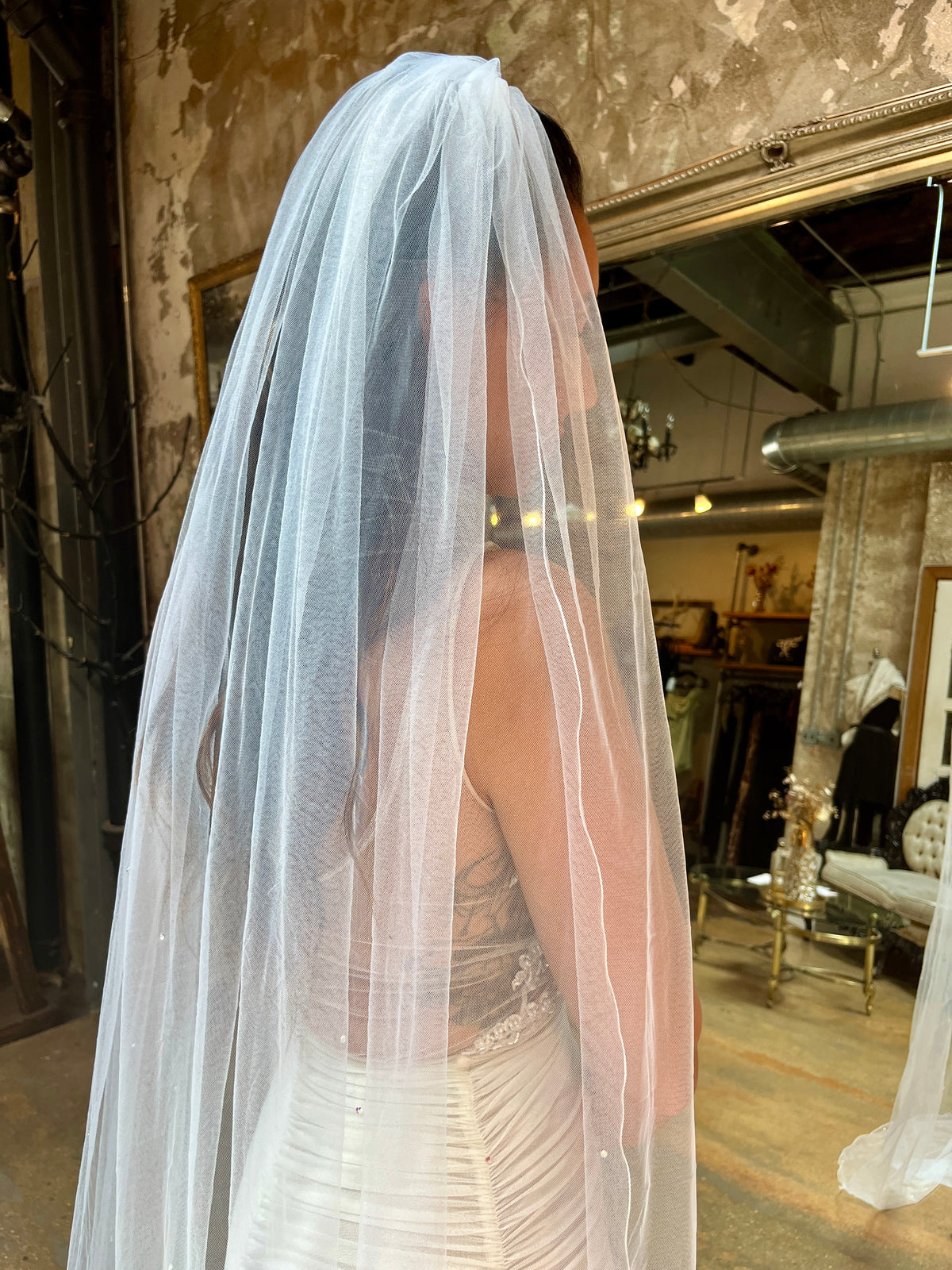 Toile Sparkled Cathedral Length Veil in White