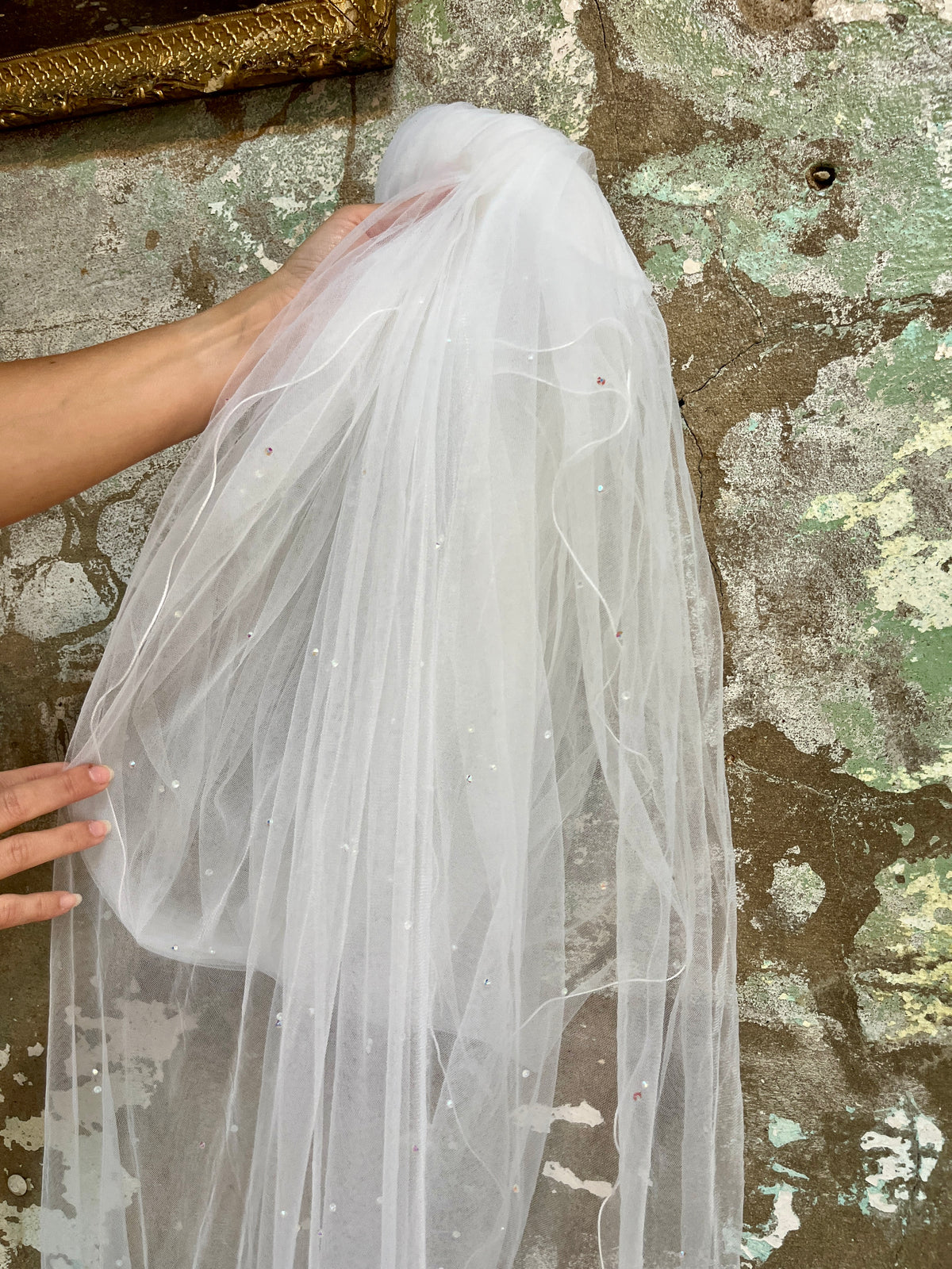 Toile Sparkled Cathedral Length Veil in White