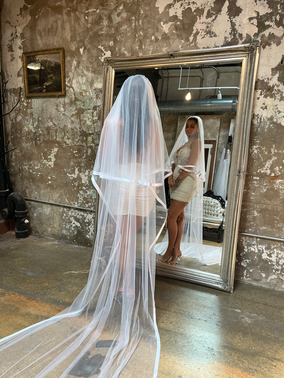 Toile Wide Ribbon Cathedral Length Veil with Blusher in White