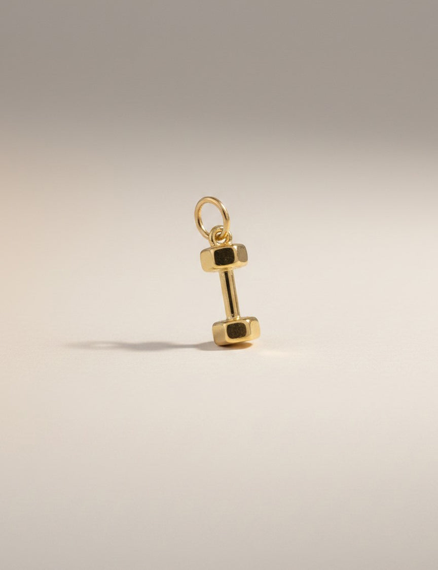 Nuance Icon Charm