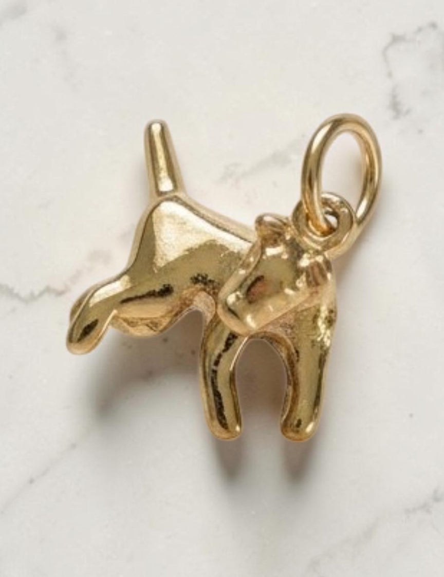 Nuance Sploot Club Charm