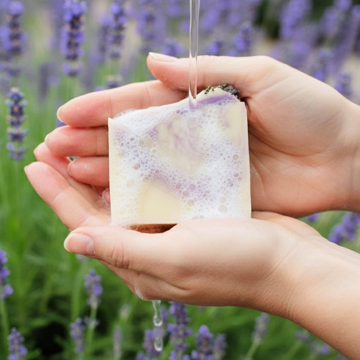 Saratoga Lavender Soap