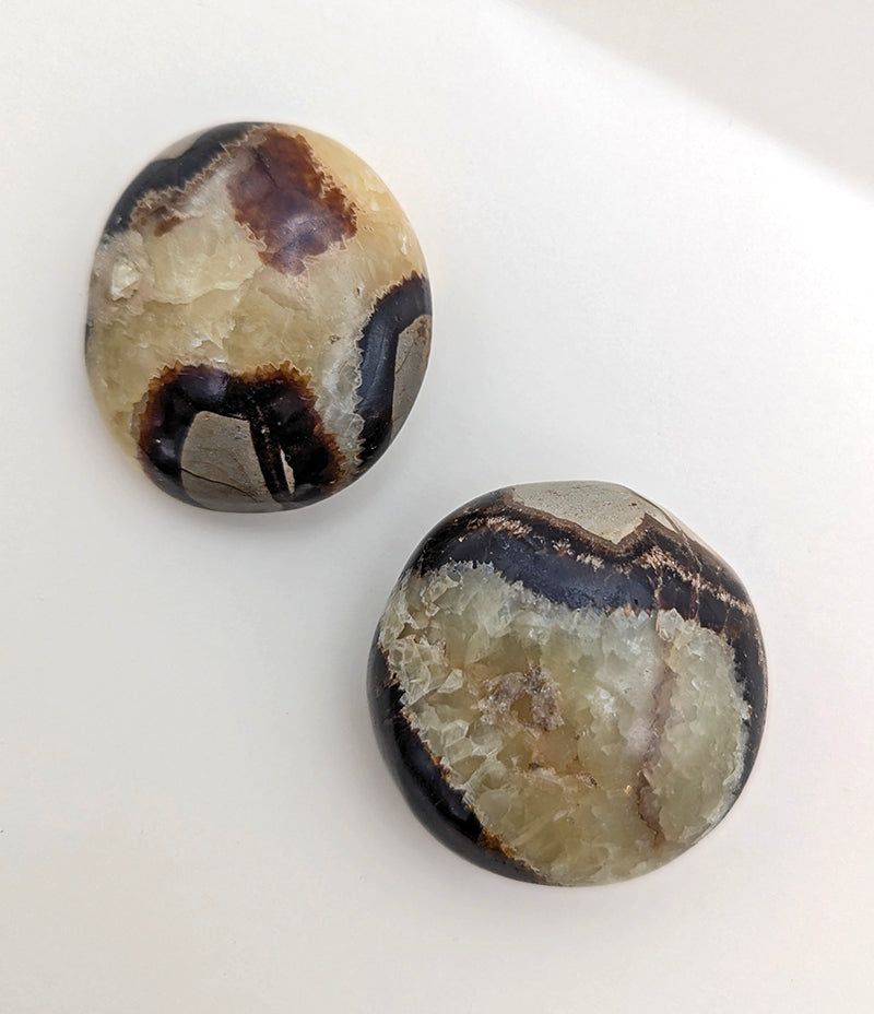 Witch's Way Septarian Palm Stone