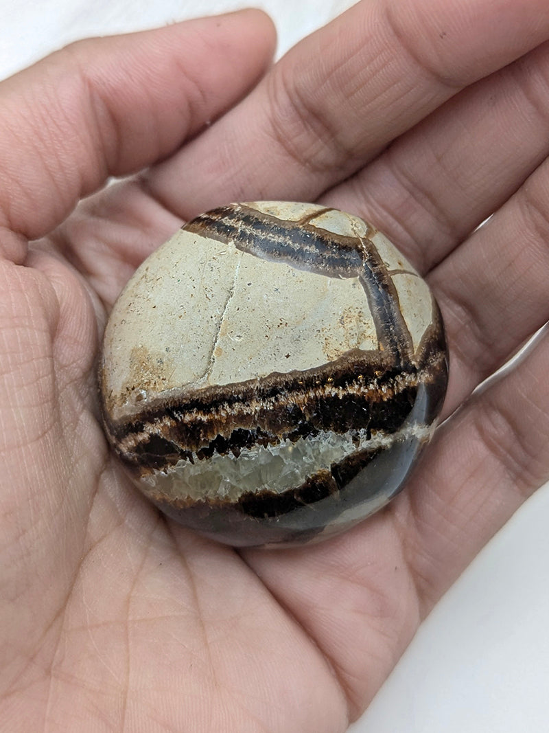 Witch's Way Septarian Palm Stone