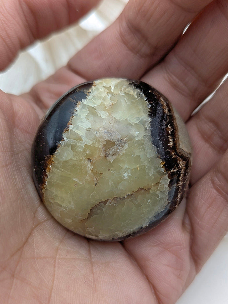 Witch's Way Septarian Palm Stone