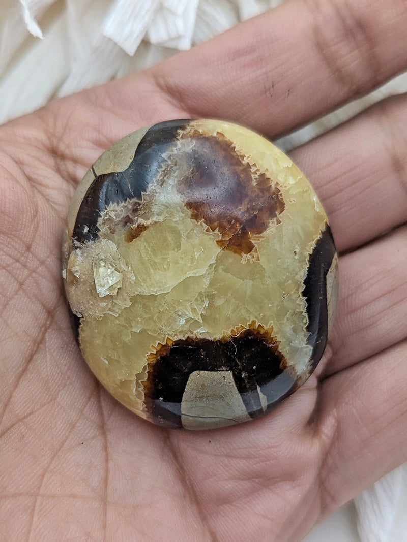 Witch's Way Septarian Palm Stone