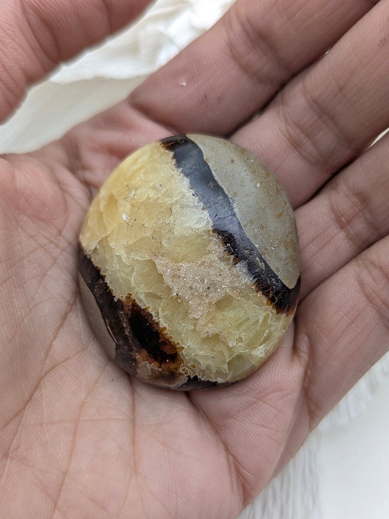 Witch's Way Septarian Palm Stone