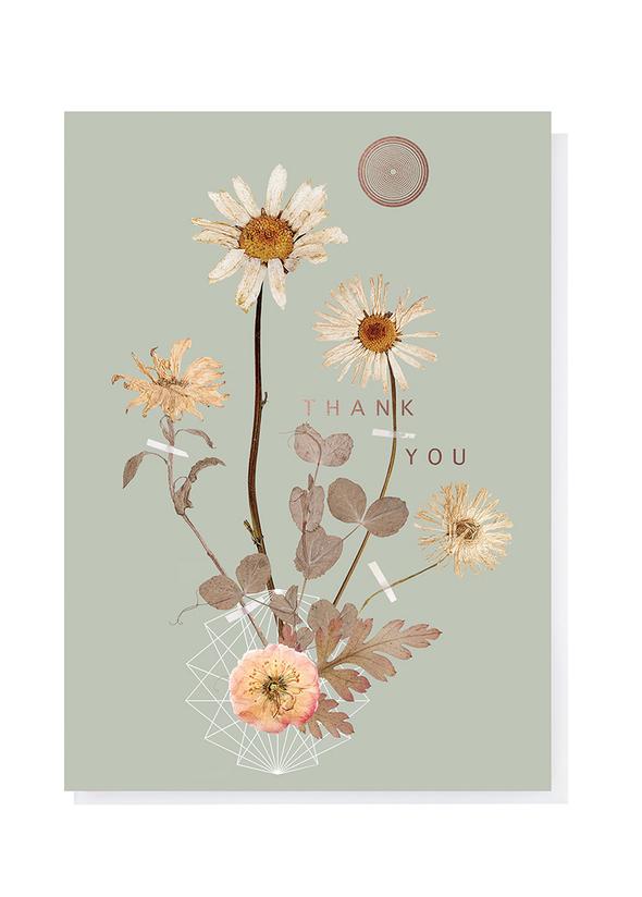 Greeting Card "Thank You" Sepia Daisy Card