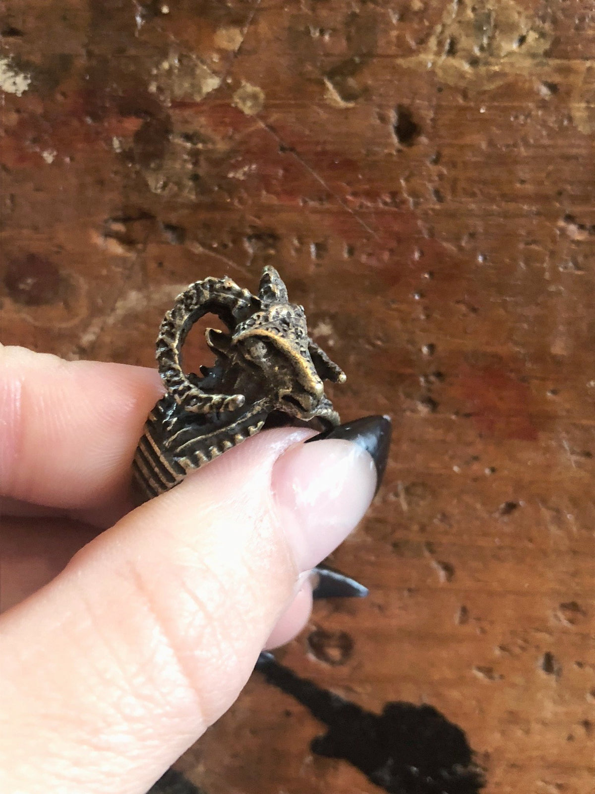 Nuance Horned Ram Ring | Bronze