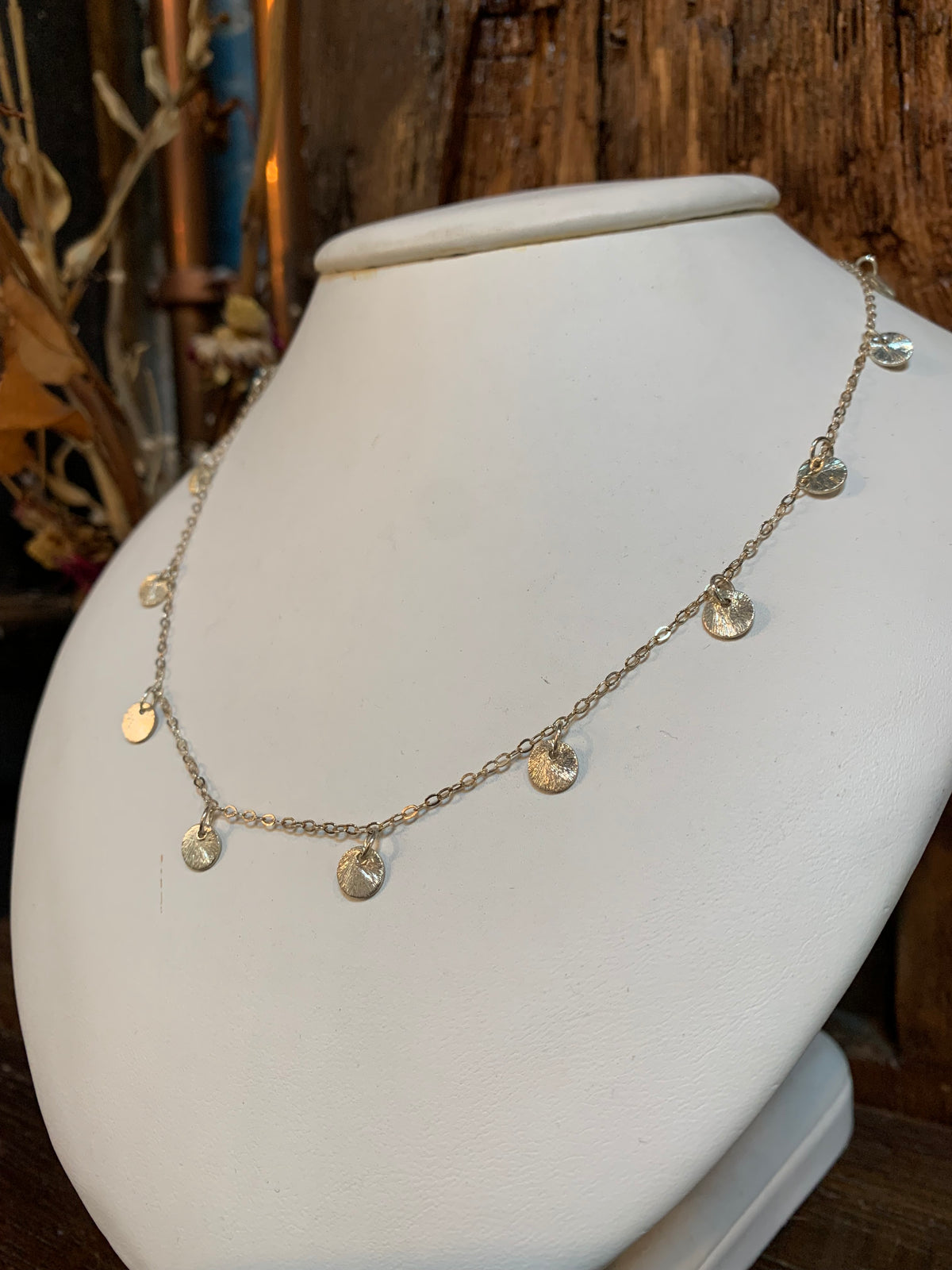 Susan Rifkin Silver Multi Coin Necklace